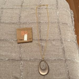 Alexis Bittar necklace